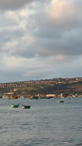 Nếu ước mơ của bạn lớn, thì người đồng hành không được sai. Vì một người yêu an toàn và vững vàng sẽ khiến bước chân bạn nhẹ hơn khi theo đuổi ước mơ.. #xuhuong #fyp #tinhyeu #hoanghon #muine 