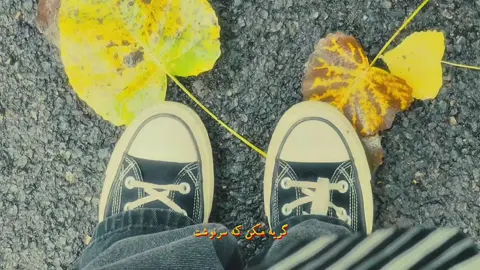 🌧🌱 #fyp #برو_فوریو_جون_مادرت  #autumn #persian #Vlog 