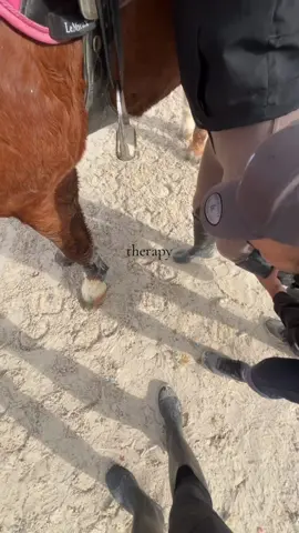 #parati #deporte #hipica #therapy #tegu 