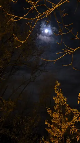 Did you like the new season? کیا آپ کو نیا سیزن پسند آیا؟  #bozdağfilmplatoları #istanbul #kuruluşorhan #kuruluşosman #dirilişertuğrul 