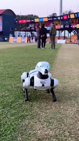 Chanke in Tu ground #robodog #NepalPremierLeague #NPLSeason2 #NPL2025 