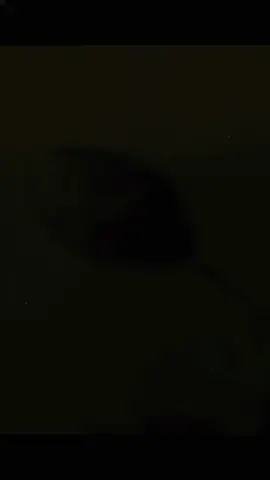 #CapCut ý là nói ít hiểu nhiều ý hã 🥲 #maiitrucc 