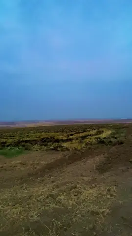 #اللهم_صلي_على_نبينا_محمد #الحمدلله_دائماً_وابداً #خوایە_گیان_لێمان_خۆشبە #لااله_الا_انت_سبحانك_اني_كنت_من_ظالمين #خوایە_گیان_لە_عەزابی_قەبر_بمانپارێزیت 