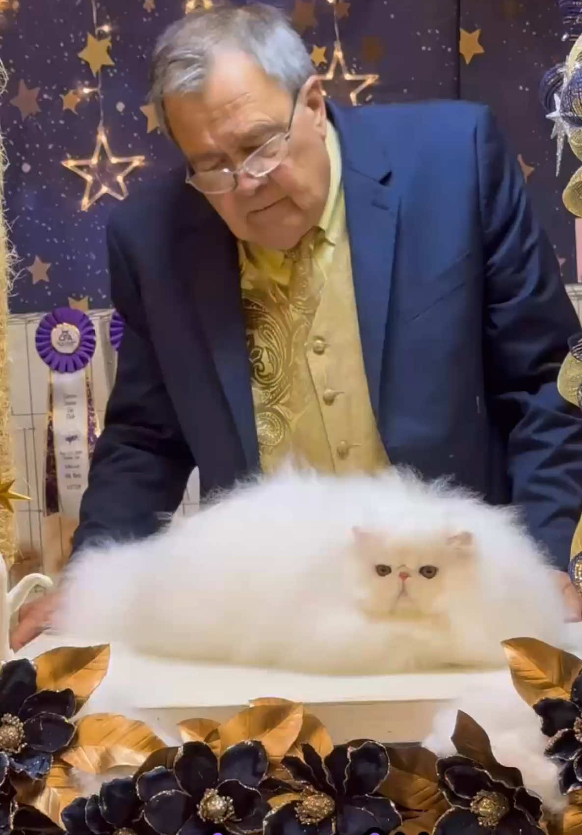 𝐏𝐄𝐑𝐒𝐈𝐀𝐍 𝐊𝐈𝐓𝐓𝐄𝐍. 𝐶𝑎𝑛 𝑦𝑜𝑢 𝑏𝑒𝑙𝑖𝑒𝑣𝑒 𝑡ℎ𝑖𝑠 𝑖𝑠 𝑎 6-𝒎𝒐𝒏𝒕𝒉 𝒐𝒍𝒅 𝑘𝑖𝑡𝑡𝑒𝑛?  He looks like he’s at least 10 months old!! 😳😳😳. #cfacatshow #persiankittens #persiancat #whitecats #persiancats 