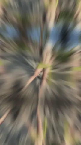 #onthisday #thankforyou #beachvibes #fyp #memories 