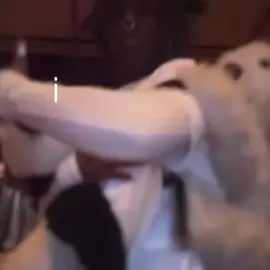 Perky Friend—Lil Uzi Vert(2023) #liluzivert #viral #fyp #liluzi #unreleased 