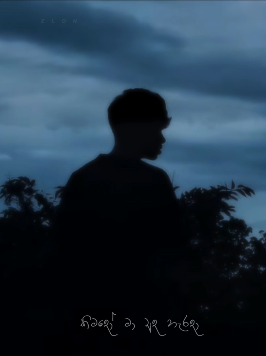 මේ රැල්ලට හැදෙන සින්දු නම් පපුවටම! 🤍 @KASHMIRA #dasineda #foryoupage #fypシ #trending #elonvibez 