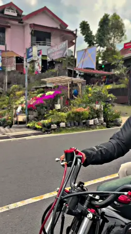 tidak ada proses yang mudah untuk tujuan yang indah,takdir milik Allah usha dan doa milik kita.#promomakan1111 #rxkingbyangkerokjalanan #kurir_bookingan135 #kurirbokingan135 #rxkingindependent 