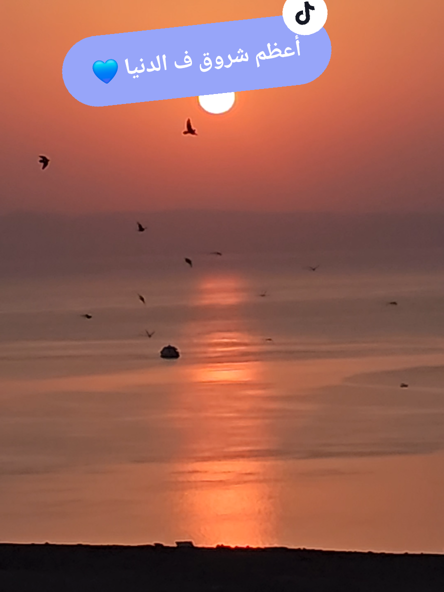 amazing sunrise from the mountain ⛰️ 😍  #sinai #dahab #jimmy_adventure #كلم_جيمي_لو_رايح_دهب #سيناء 