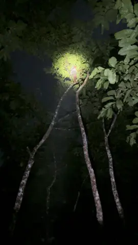 Lek ndwe masalah cerito neng konco ojo ngene🥲#4u #egonewongtuo #fouryoupage 