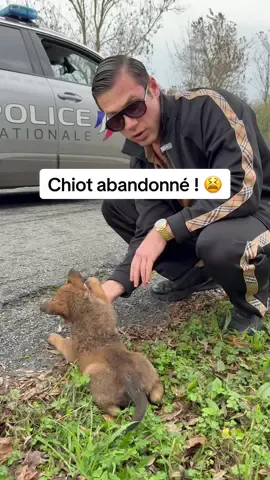 Comment peut-on abandonner une boule de poils pareille ! 😔 #animaux #lamenace #pourtoi