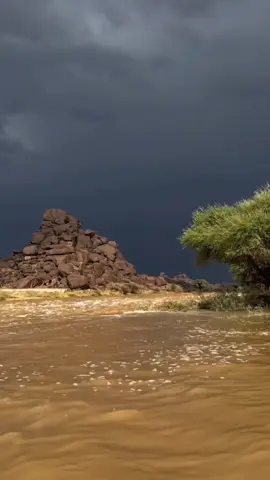 اللهم انزل علينا الغيث 🤲🏻🕊️ دعاء نزول المطر والخير والبركات#اللهم_امين_يارب_العالمين #امين_يارب_العالمين #عليه_افضل_الصلاه_والسلام #قران_كريم #quran 