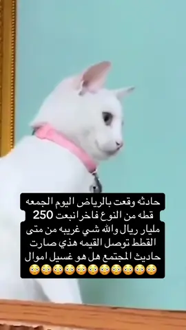 #الرياض 