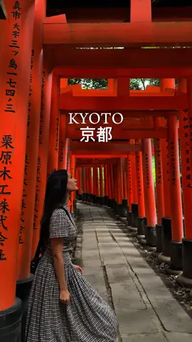 The next stop is... Kyoto Kyoto was definitely my favourite part of our Japan trip! Soooo many beautiful things to do, away from the busy streets of Tokyo & Osaka I learnt I'm defs a country gal over city gal ✌🏼😚 Spots from vid: • Fushimi Inari • Kinkaku-ji (The Golden Pavillion) • Arashiyama • Gion #kyoto #kyotojapan #japan #japantrip #japantravel 