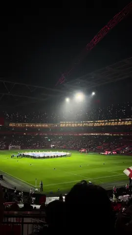 Last game of the year 🏟️ England v Serbia ⚽️ @England @Wembley Stadium #englandfootball #wembleystadium #football