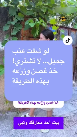 لو شفت عنب جميل… لا تشتري! خذ غصن وزرّعه بهذه الطريقة #keto_world_ #ambition_75 