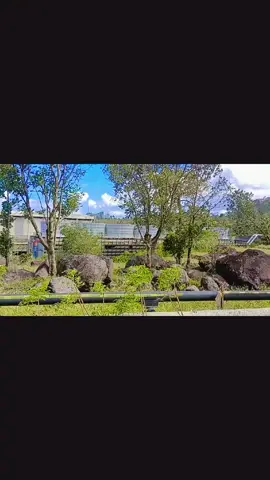 The Tiwi Geothermal Power Plant in Albay is the first and oldest geothermal power plant in the Philippines, with an operational history dating back to the 1970s. Operated by AboitizPower's subsidiary AP Renewables Inc., the plant has a current installed capacity of 234 MW, with four generating units. It uses geothermal steam from the earth to produce clean electricity for the Luzon grid, contributing significantly to the country's renewable energy supply.   Key details about the Tiwi Geothermal Power Plant History:  The first large-scale geothermal plant in the Philippines was inaugurated in Tiwi, Albay in 1979. Its roots go back to 1967, when an experimental lab first powered a light bulb using geothermal steam from Mount Malinao.  Capacity:  The plant has a current installed capacity of 234 MW and has four generating units. In the past, it had a capacity of 330 MW with six units.  Operations:  The plant produces clean energy by using steam from the earth's heat to turn turbines that are connected to generators. The electricity is then sent to homes, offices, and industries through power lines.  Recent developments:  A new 17-MW binary geothermal plant was under construction and expected to be operational by the end of 2023. This plant will source power from the residual heat of the hot brine, an additional step in harnessing the geothermal resources.  Mayon Volcano impact:  Operations have remained normal despite increased activity from the nearby Mayon Volcano, with no significant changes observed in the geothermal field's temperature or fluid flow.  Operator:  AP Renewables Inc. (APRI), a subsidiary of Aboitiz Power, operates the plant.  Areas within the field:  The Tiwi Geothermal Field is divided into four geographical areas: Naglagbong, Kapipihan, Matalibong, and Bariis. 