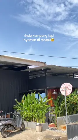 bgmn ee🥹 #fyp #kolonodale #morowaliutara 