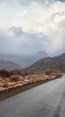 #تصويري_احترافي_الاجواء👌🏻🕊😴 #جبل_رضوى #الشتاء🎻🎼 