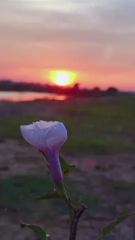 con trai là phải mạnh mẽ. không có được khóc mày..!#kecodoc #upstory #suyngam #xuhuong #tiktok 