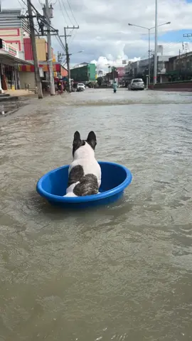 ไม่สลดยังพอทน มีความสุขเกินคน..แม่พอเลย 🥹😂🤣