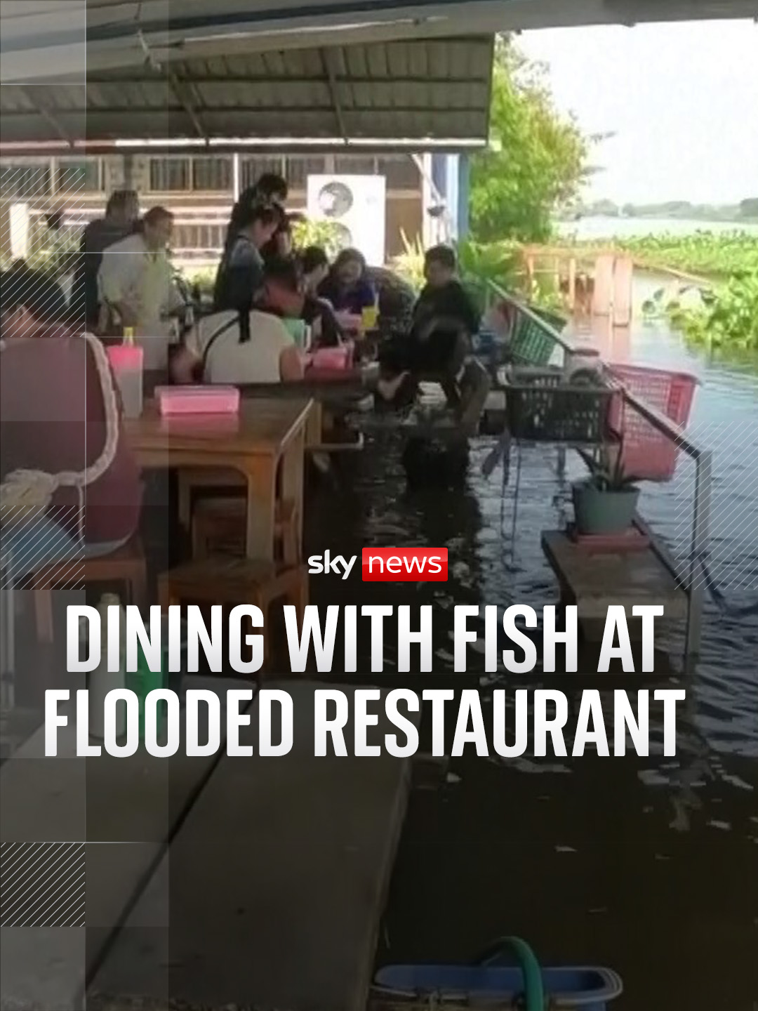 Diners at this restaurant in Thailand are enjoying their meal with fish swimming between their feet after the Tha Chin River breached its banks 🐟 The owner says profits have doubled. #business #thailand #flooding