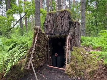 The process of building the shelter and I was a little surprised when I had visitors. #survival #Outdoors #travel #camping #bushcraft 