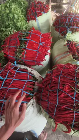 #UDbintang  cabe turun hari ini. update kota Curup rejang Lebong bengkulu