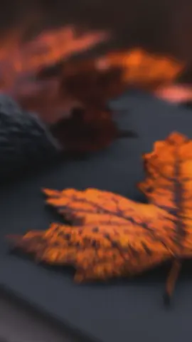 #CapCut #mohammaditypist69💔🙏 #پشتون_تاجیک_هزاره_ازبک_زنده_باد🇦🇫 