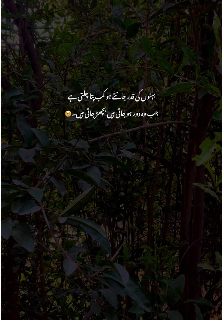 Bilkul😔❤️#fyp #grow #poetry #viralvideos #aestheticvideos 