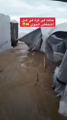 سلامُ لغزة #غزة #فلسطين #اللهم_صلي_على_نبينا_محمد #منخفض #الشعب_الصيني_ماله_حل😂😂 #تصويري_احترافي_الاجواء👌🏻🕊😴 