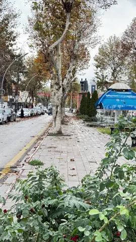 Malatya da sonbahar 🥹🤗 #malatya  #sonbahar  #mevsim  #keşfetteyizzz  #reels 