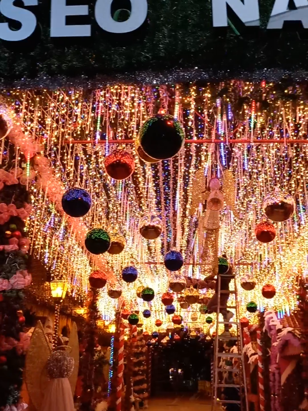 ✨️PASEO NAVIDEÑO🎅 La Alcaldía Municipal de Comayagua que dirige el #AlcaldeCarlosMiranda, tiene listo el Tradicional Paseo Navideño de esta ciudad colonial para ser encendido este 14 de noviembre a partir de las 6:00 P.M Municipalidad de Comayagua  Carlos Miranda Alcalde  #ComayaguaAvanza #PaseoNavideño #LoBuenoDebeContinuar #navidadencomayagua 