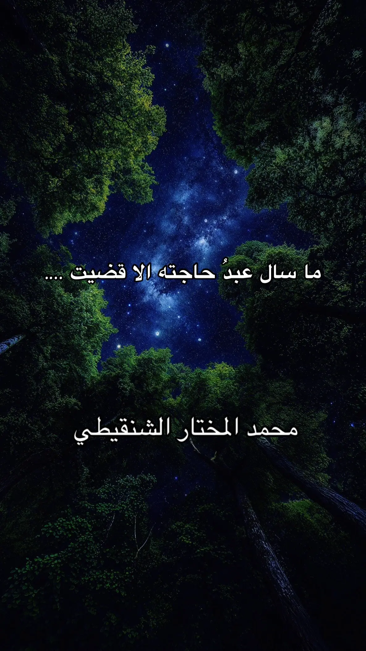 محمد المختار الشنقيطي #محمد_المختار_الشنقيطي #محمد_المختار_الشنقيطي #محمد_المختار_الشنقيطي #محمد_المختار_الشنقيطي 