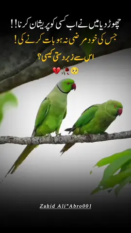 چھوڑ دیا میں نے اب کسی کو پریشان کرنا !! جس کی خود مرضی نہ ہو بات کرنے کی ! اس سے زبردستی کیسی ؟ 💔🥀🥺 #viwes_problem😭😭 #hayeee_lineee🥹😔💔💯 #zahidaliabro001 