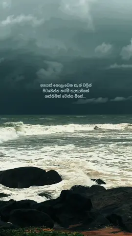 #neera#neerafilm💔#amathakaweenoya#