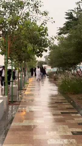 - اللهم صلِّ وسلم عليكَ يارسول الله 🤍 #المدينه_المنوره #وادي_قناة #مطر 