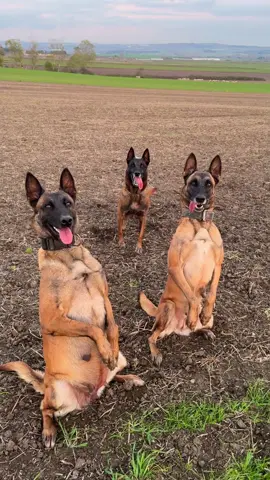 Gama -Peri-Cin-  Hedefiniz de kalite varsa birgün mutlaka karşılaşırız..