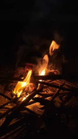 #ကျမတို့အညာမှာတော့ထန်းမြစ်ကုိပြုတ်မစားဘူးဖုတ်စားပါတယ် အနံ့လေးကမွှေးမွှေးနဲ့ရှယ်ကောင်း😋😁မှတ်ချက်ဖုတ်ပီးရင်တော့ထန်းမြစ်ကိုပုတ်ပီးမခါပါနဲ့ခါးတယ်လို့မေမေတို့ကပြောပါတယ်😁အမှန်တကယ်လဲခါးပါတယ်🥴 ငယ်ငယ်ကပိုက်ဆံရှိတာမရှိတာမသိဘူးသူများစားရင်စားချင်တာဘဲသိတယ်တအားပူဆာရတာ🥲လွမ်းလိုက်တာမလုံတလုံထန်းလက်တဲအိမ်လေးကိုလဲ🥹 #လွမ်းစရာအချိန်တေပေါ့😢 