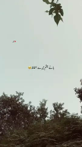 یکطرفہ مُحبت🥹🫵#foryou #punjabi #poetry 