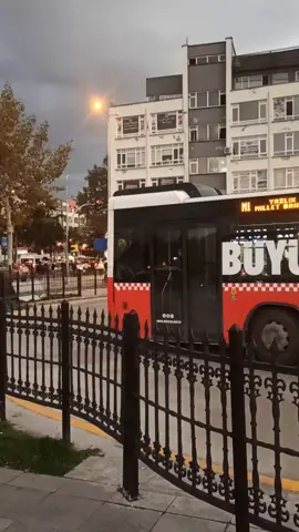 #شلونكم اهل سكاريا  اشو ماكو احد 🤔