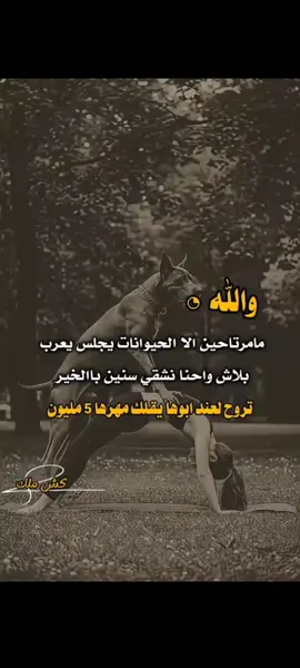 #تصميم_فيديوهات🎶🎤🎬 #عباراتكم_الفخمه📿📌 #مجرد________ذووووووق🎶🎵💞 #صنعاء_تعز_عدن_اب_ذمار_حجة_حضرموت 