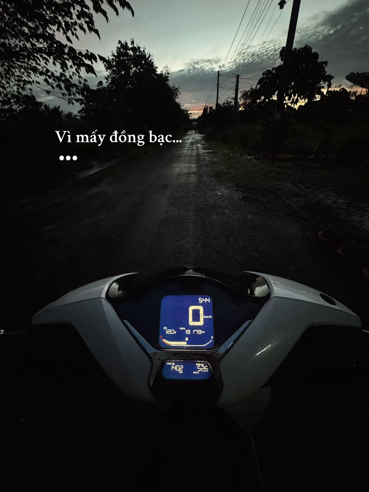 Vàng 100tr 1 chỉ cũng không sao. Ổ bánh mì t ăn vẫn 15k. Chai sting t ún vẫn 10k là đc. ☺️☺️☺️