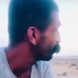 মিয়াও#😁 🎬