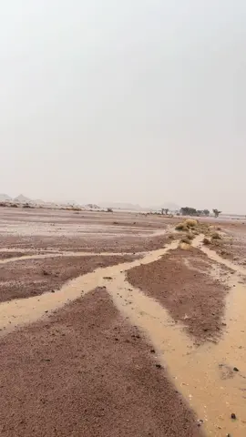 #امطار#حائل_اليوم الجمعة ١٤٤٧/٥/٢٣هـ