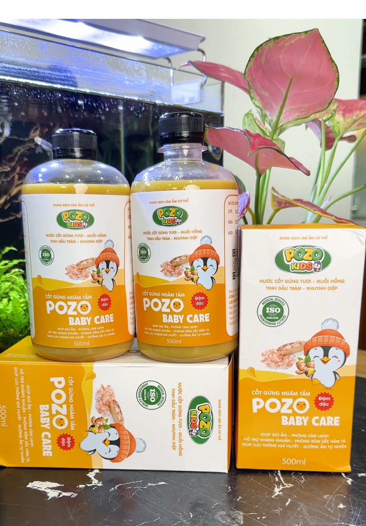 Nước cốt gừng không bã tiện lợi #cothanhgiadung #tiktokshop #xuhuong #nuoccotgung #nuoccotgungngamtampozo 