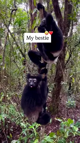 mention your bestie 🤣#foryoupage #bestfriend #funny #fyppppppppppppppppppppppp #bestiegoals 