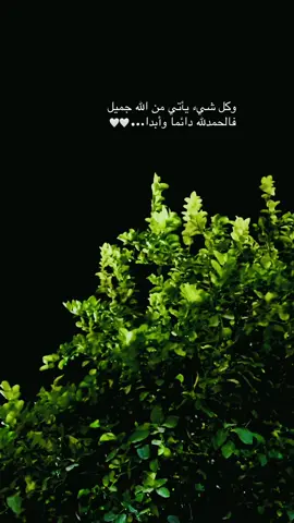 وكل شيء يأتي من الله جميل فالحمدلله دائما وأبدا 🤍#اقتباسات #عبارات #تصميمي #تصوري📸 #fyp 