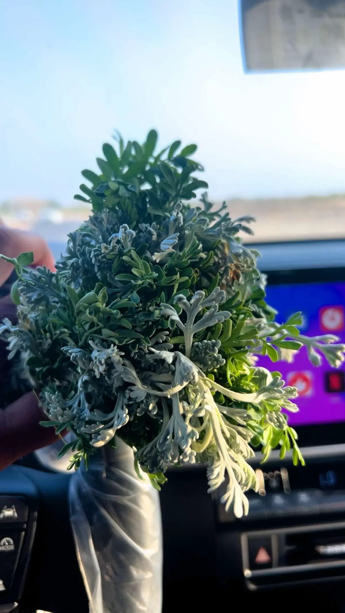 #زار#وشيء# فن#والمخارج كريم 😂