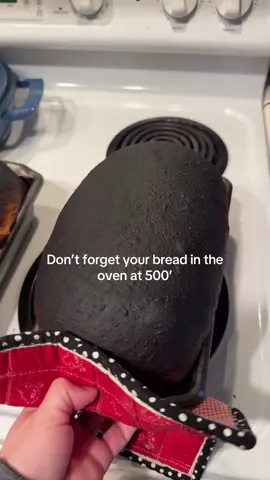 Preheated the oven to 500 for better oven spring, but forgot to lower it to 375 before putting my bread in….. and then leaving it for 45 minutes 😳 #sourdoughbread #baking #bakingfail 